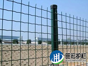 荷蘭網(wǎng)、牛欄網(wǎng)